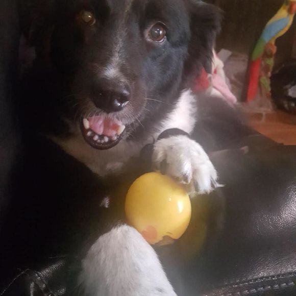 Meet your Posher, Rebecca - Picture 1 of 1